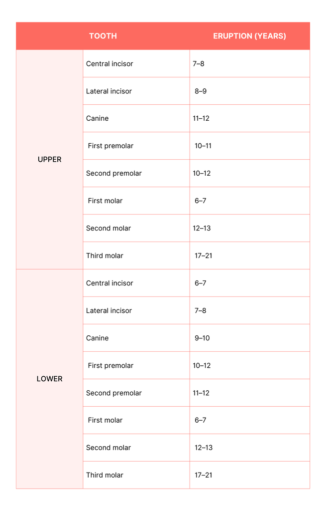 eruption times tablle canva