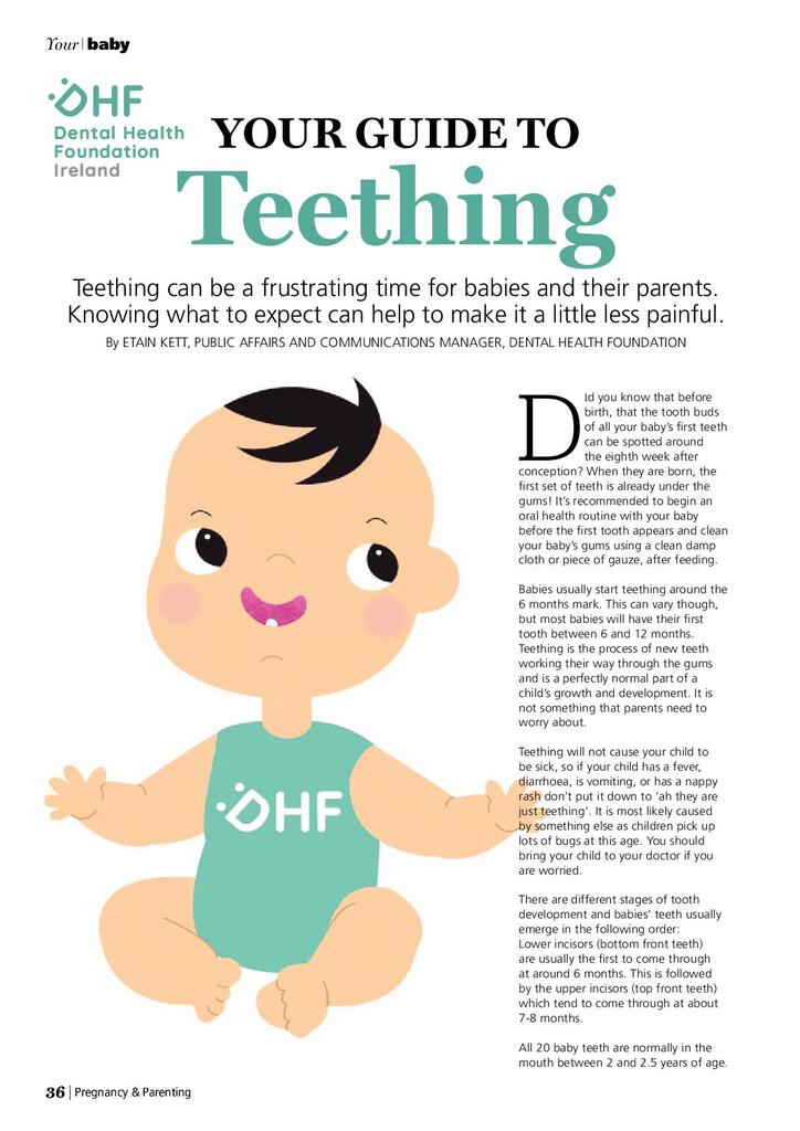 Your Guide To Teething | Dental Health Foundation