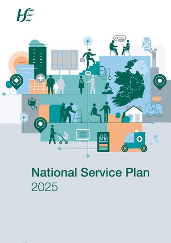 hse-national-service-plan-2025